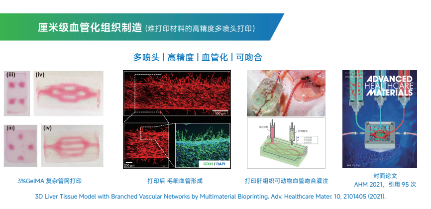厘米级血管化组织制造